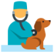 icons8-veterinary-examination-96